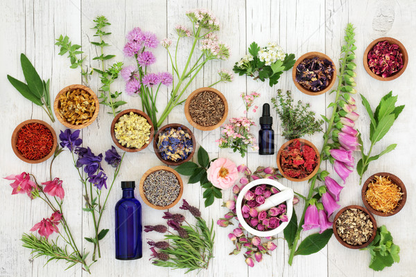 Természetes gyógynövény gyógynövények virágok fából készült tálak Stock fotó © marilyna