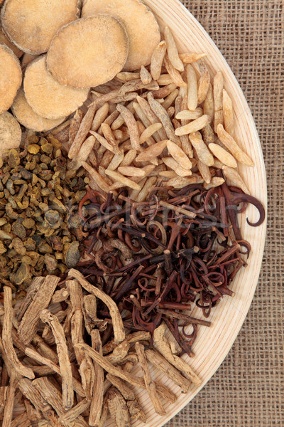Stock photo: Chinese Medicinal Herbs