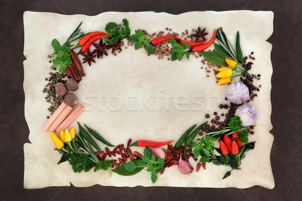 Spice and Herb Abstract Border Stock photo © marilyna