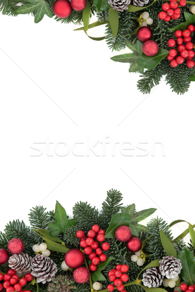 Weihnachten Grenze rot Spielerei Dekorationen Efeu Stock foto © marilyna
