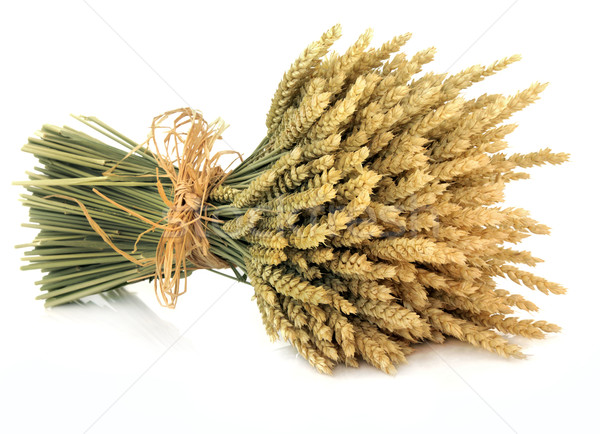 Stock photo: Wheat 