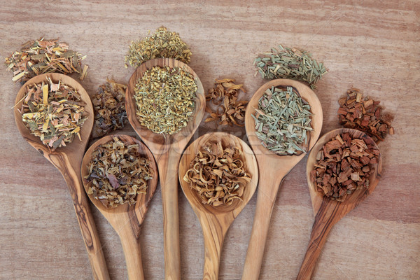Naturalnych zdrowia herb alternatywa oliwy drewna Zdjęcia stock © marilyna