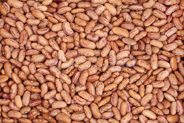 Pinto Beans Stock photo © marilyna