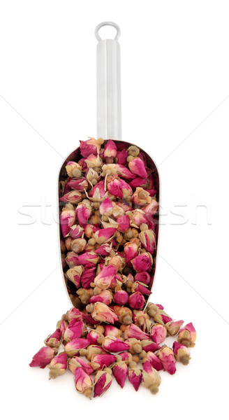 Foto stock: Aumentó · flor · capullo · de · rosa · flores · utilizado · tradicional