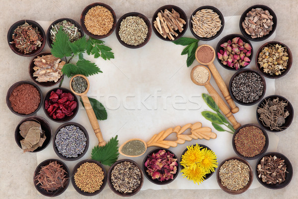 Superfood for Women Stock photo © marilyna