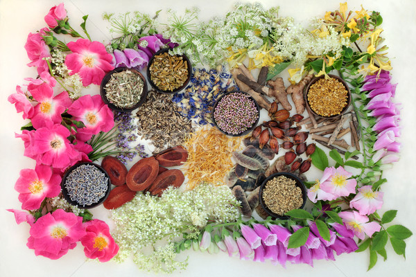 Természetes alternatív gyógymód gyógynövények virágok fából készült tálak Stock fotó © marilyna
