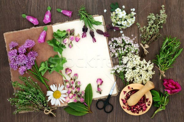 Gyógynövény előkészítés gyógynövények virágok használt természetes Stock fotó © marilyna