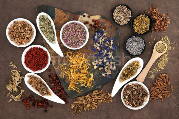 Stock photo: Herbal Medicine