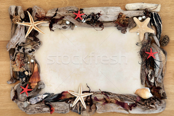 Strand zeewier drijfhout abstract grens Stockfoto © marilyna