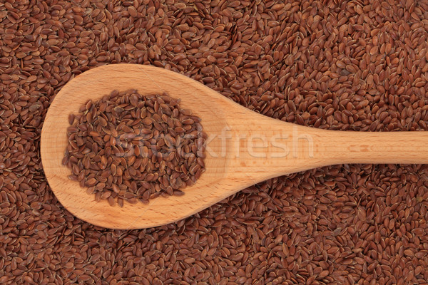 Linseed Stock photo © marilyna