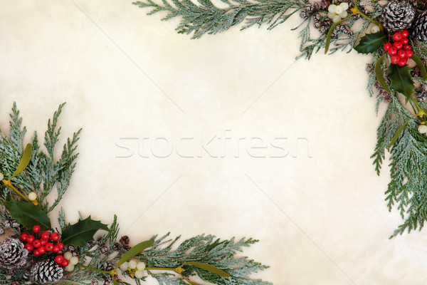 Winter Greenery Border Stock photo © marilyna