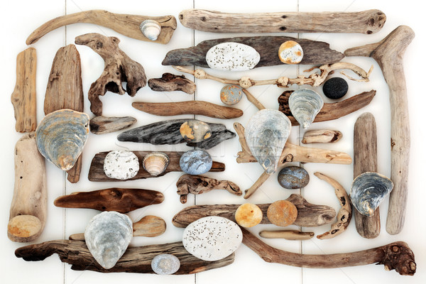 Stock photo: Natural Driftwood, Seashell and Rock Abstract