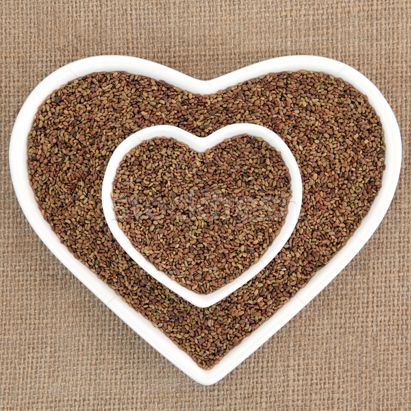 Stock photo: Alfalfa Seed