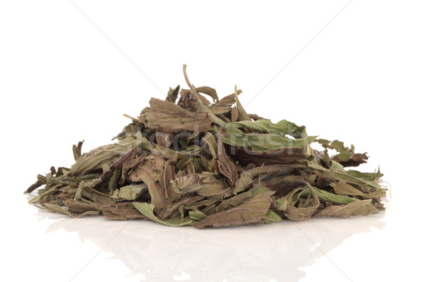 Dried Plantain Herb Leaves Stock photo © marilyna