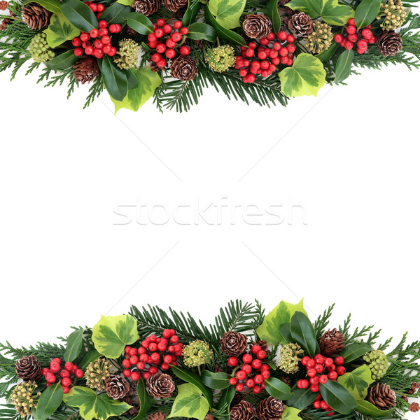 Winter flora abstrakten Grenze Weihnachten rot Stock foto © marilyna