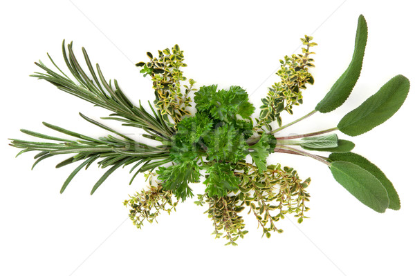 Pietruszka szałwia rozmaryn herb liści streszczenie Zdjęcia stock © marilyna