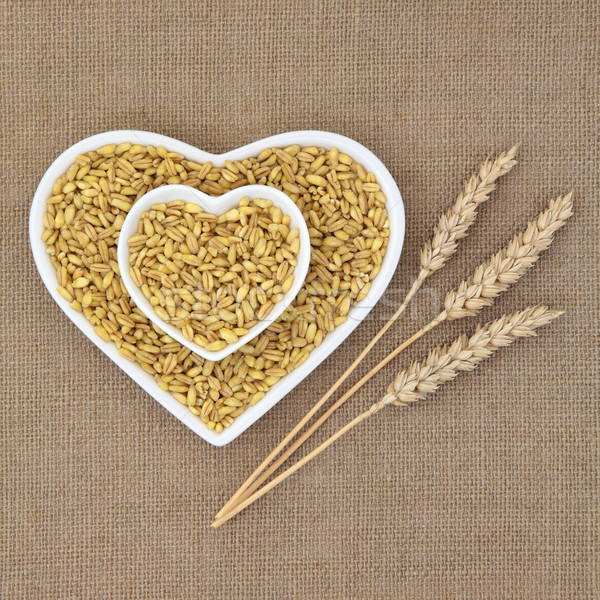 Kamut Khorasan Wheat Stock photo © marilyna