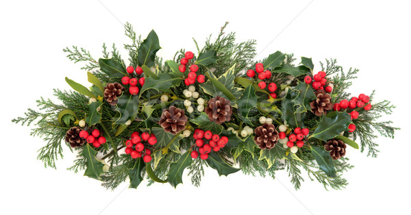Karácsony növényvilág állatvilág virágmintás dekoráció borostyán Stock fotó © marilyna