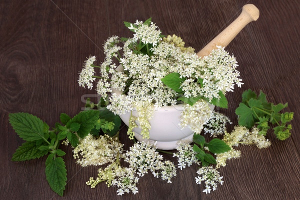 Natural Herbal Medicine  Stock photo © marilyna