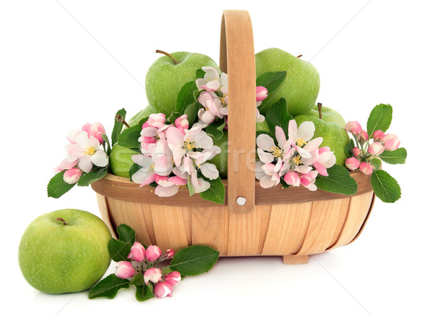 бабушка яблоки зеленый яблоко фрукты цветок Сток-фото © marilyna