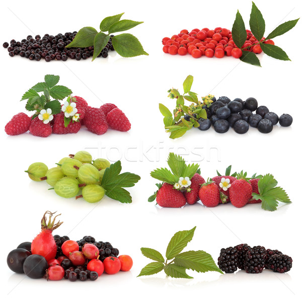 Berry Fruit Sampler Stock photo © marilyna