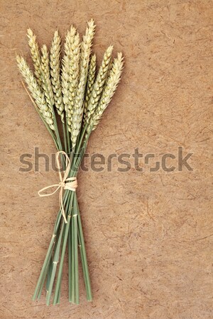 Ears of Wheat Stock photo © marilyna