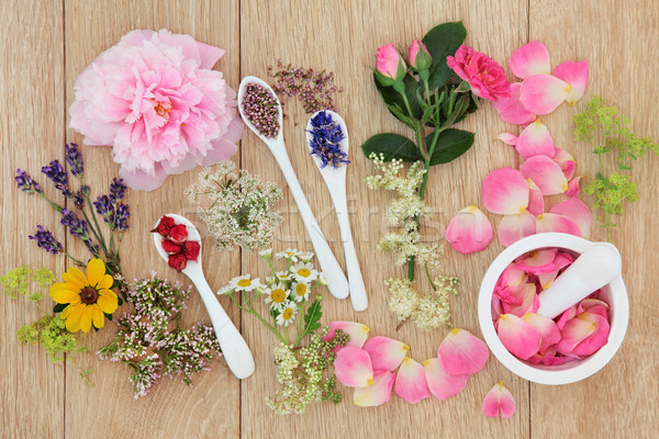 Leczniczy uzdrowienie zioła kwiaty herb kwiat Zdjęcia stock © marilyna