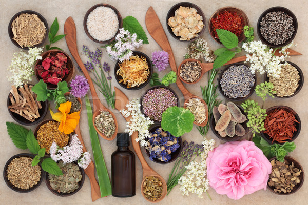 Stock photo: Flower and Herb Selection