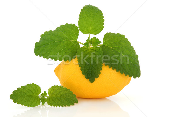 Limone frutta balsamo erbe foglia isolato Foto d'archivio © marilyna