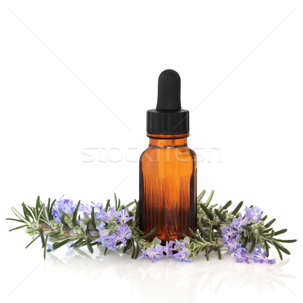 Rozmaring gyógynövény lényeg levél virág aromaterápia Stock fotó © marilyna