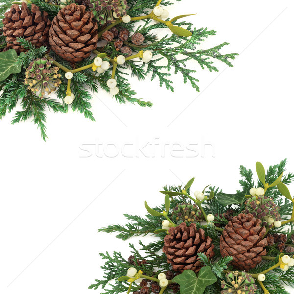 Winter Greenery Arrangement Stock photo © marilyna