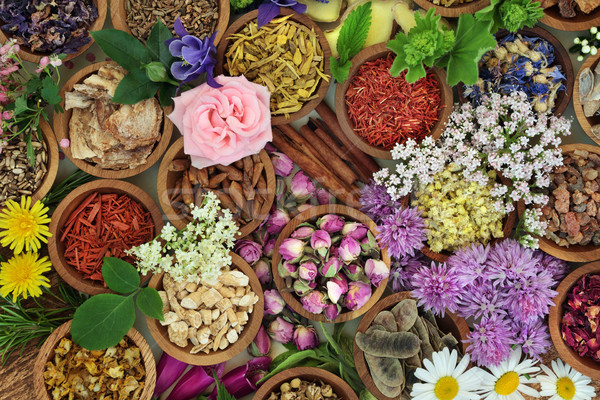 Phytothérapie herbes fleurs utilisé chinois naturelles [[stock_photo]] © marilyna