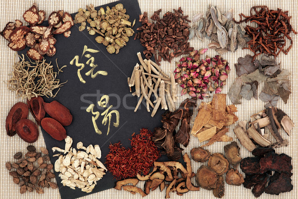 Yin and Yang Chinese Herbs Stock photo © marilyna