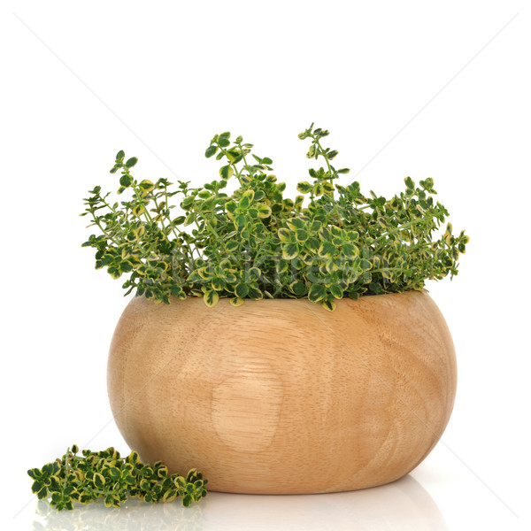 Thyme Herb Stock photo © marilyna