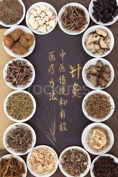 Chinesisch Akupunktur Nadeln Kräutermedizin Schriftkunst script Stock foto © marilyna