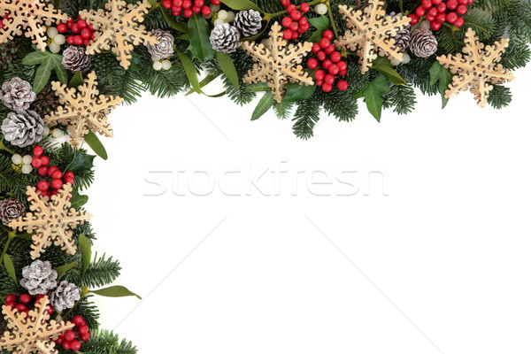 Schneeflocke Grenze Weihnachten abstrakten Gold Spielerei Stock foto © marilyna