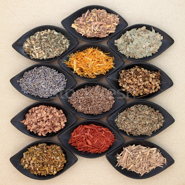 Magical and Medicinal Herbs   Stock photo © marilyna
