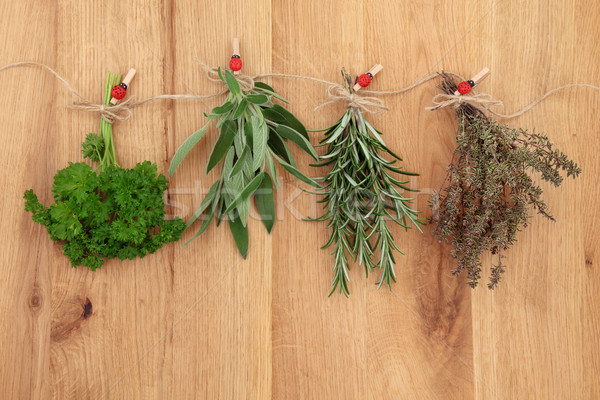 Herbs Drying  Stock photo © marilyna