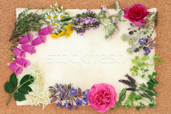 Flower and Herbal Medicine Stock photo © marilyna