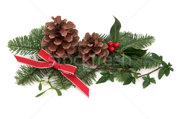 Christmas Flora and Fauna Stock photo © marilyna
