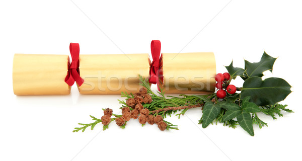 Christmas Cracker Stock photo © marilyna
