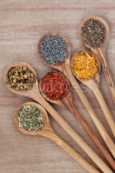 Herbs for Health Stock photo © marilyna