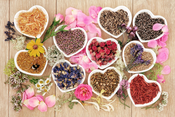 Healing Herbs and Flowers Stock photo © marilyna