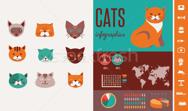 Cat infographics with vector icons set Stock photo © marish