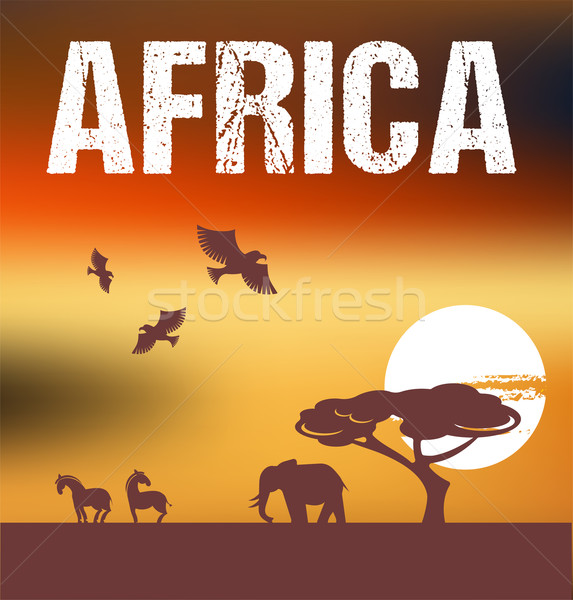 Afryki infografiki szablon kobieta drzewo Zdjęcia stock © marish