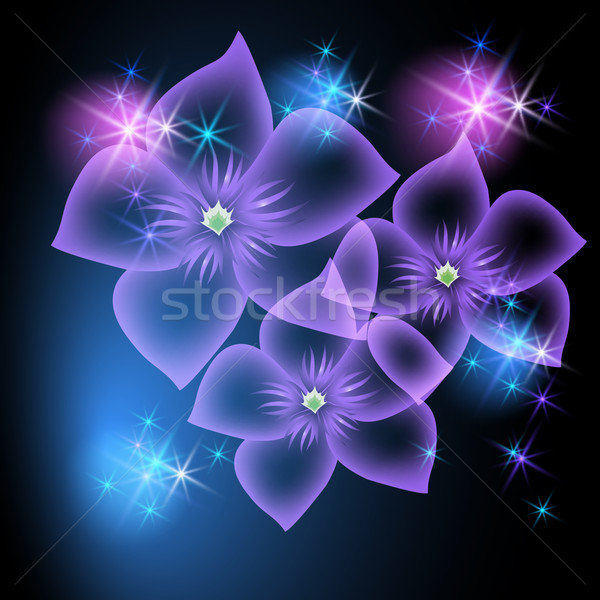 Transparent flowers and stars Stock photo © Marisha