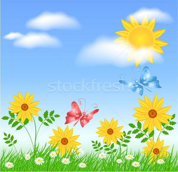 Meadow flowers and sun Stock photo © Marisha