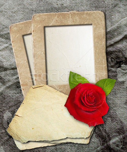 Grunge frame with roses and paper  Stock photo © Marisha