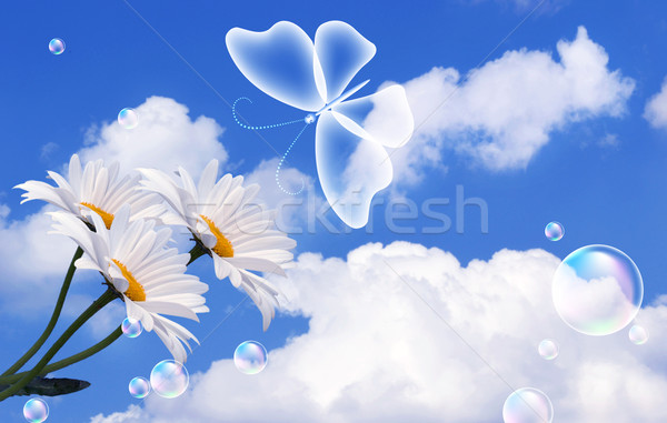 Felhők pillangó buborékok légy fehér gyönyörű Stock fotó © Marisha