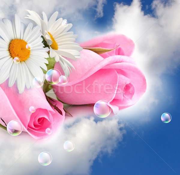 Pink roses and camomiles in the clouds Stock photo © Marisha